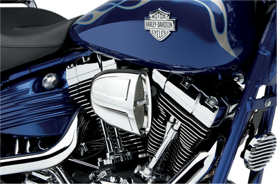 Cobra PowrFlo Air Intake Kit Chrome 606-0100-SB