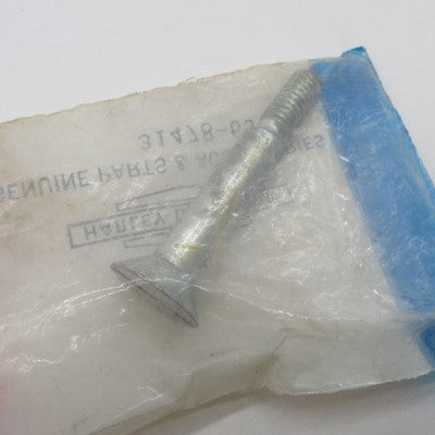 Harley Davidson OEM NOS Chrome Shovelhead Starter Gear Screw 31478-65A