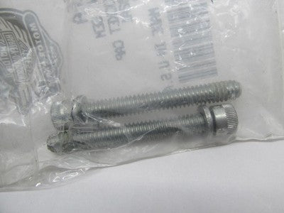 Lot of 2 Harley-Davidson OEM NOS Hex Socket Cap SEM Screws 4820A