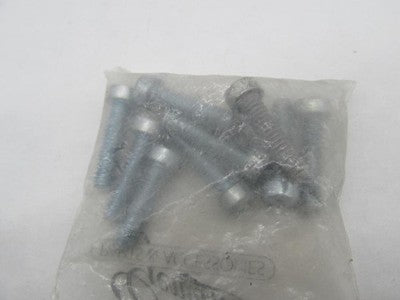 Lot of 10 Harley-Davidson Genuine NOS Fillister Head Screws 1305