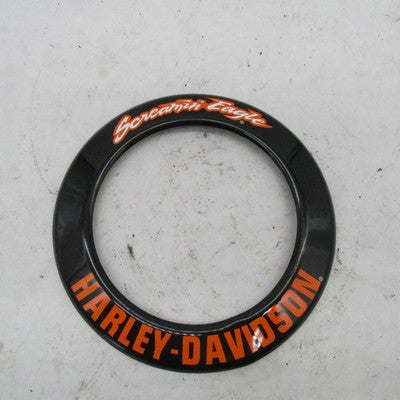 Harley Davidson Genuine Screamin Eagle Air Cleaner Insert Trim Ring 29