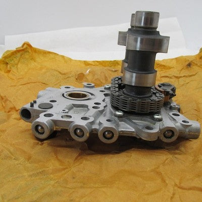 Harley Davidson OEM Twin Cam Camshaft Support Plate 25245-00 with Cams