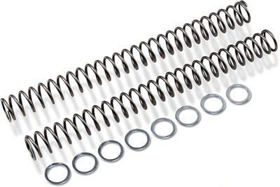 Race Tech Fork Springs .54 kg/mm FRSP 454754