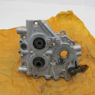 Harley Davidson OEM Twin Cam Camshaft Support Plate 25245-00 with Cams