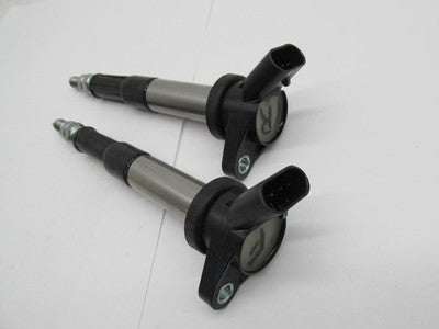 Indian Scout Ignition Coil Spark Plug Stick Pair 28445098