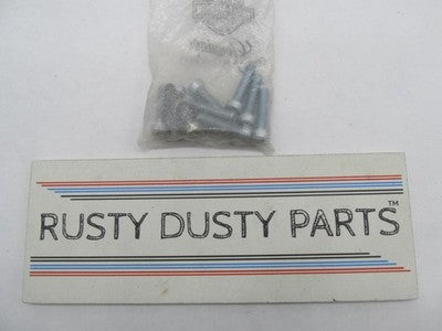 Lot of 10 Harley-Davidson Genuine NOS Fillister Head Screws 1305