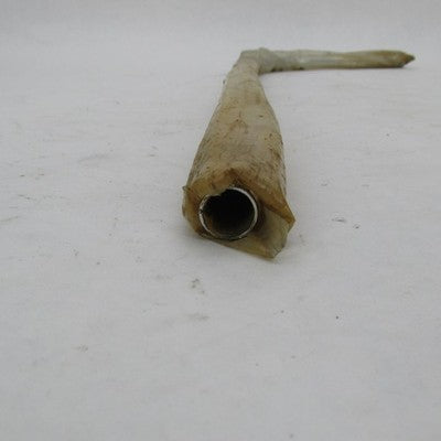 Vintage Harley Davidson Genuine NOS Single Side Saddlebag Guard Rail