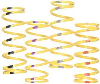 Team Ski-Doo Primary Clutch Springs - Steel Yellow/Red 210141-003