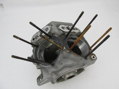 S&S Cycle Big Dog X-Wedge Engine Case Block No Serial Number