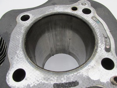 Harley Davidson Genuine OEM Pair of M8 Cylinders & Pistons 16800080 16