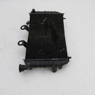 Harley-Davidson OEM 22-24 Pan America 1250/1250S Radiator Core 2680016