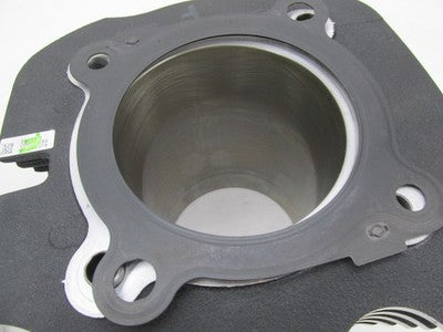 Indian OEM 2019 Thunderstroke 116ci Cylinder Barrel Jug Pair, 2300mi
