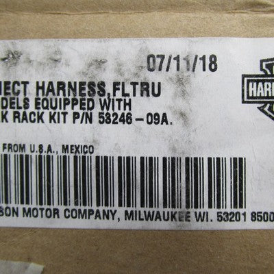Harley-Davidson OEM NOS Tour-Pak Light Harness Kit w/ Hardware 70113-0