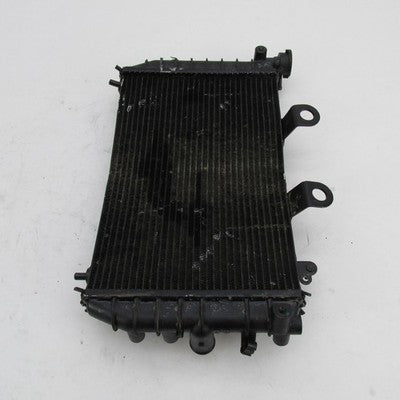 Harley-Davidson OEM 22-24 Pan America 1250/1250S Radiator Core 2680016