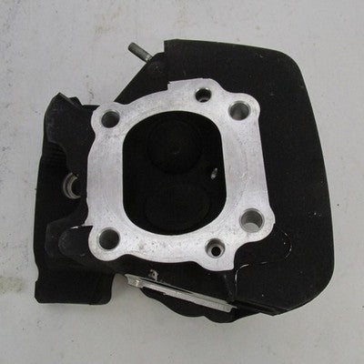 Pair of Harley Davidson OEM Twin Cam Cylinder Heads Black 16725-99 167