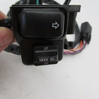 Harley Davidson OEM Right Side Lower Handlebar Switch Assembly and Wir