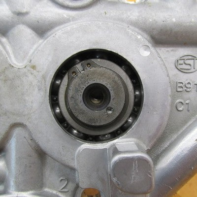 Harley Davidson OEM Twin Cam Camshaft Support Plate 25245-00 with Cams