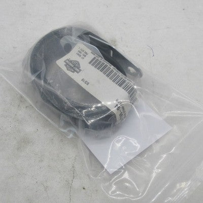 Harley-Davidson OEM Road King FLHR Passenger Grab Strap 51196-94