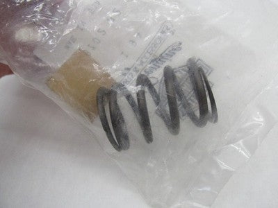 Harley-Davidson Genuine NOS Inner Valve Spring 18202-82