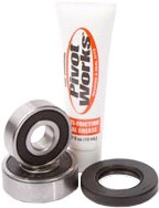 Pivot Works Wheel Bearing Kit Rear PWRWK-H28-001