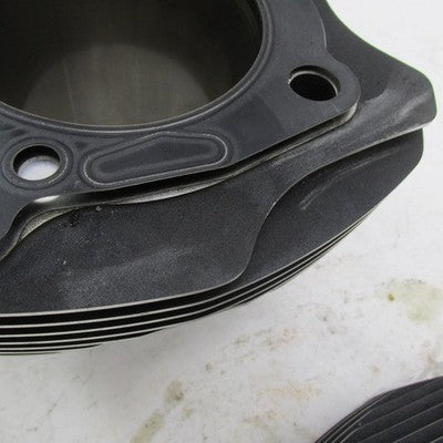 Pair of Harley Davidson OEM M8 Milwaukee Eight 107" Bored to 117" Cyli