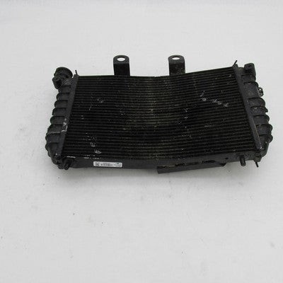 Harley-Davidson OEM 22-24 Pan America 1250/1250S Radiator Core 2680016