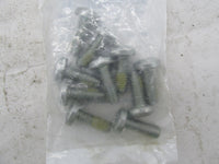 Lot of 10 Harley Davidson Genuine NOS Panhead Torx Screws 3655A-SUB10