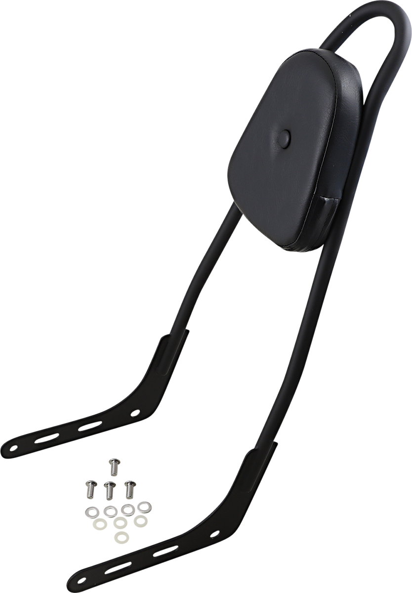 Motherwell Skull Sissy Bar Matte Black MWL156TSKWPMB