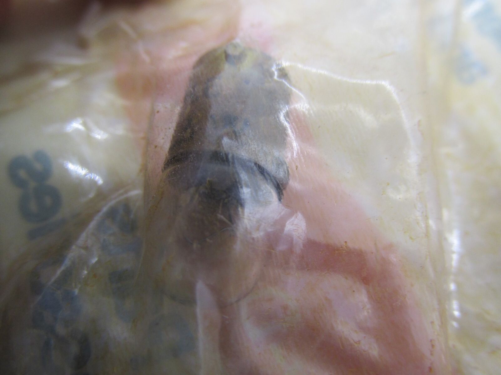 Harley-Davidson Aermacchi Genuine NOS Indicator Light Bulb 71092-73P