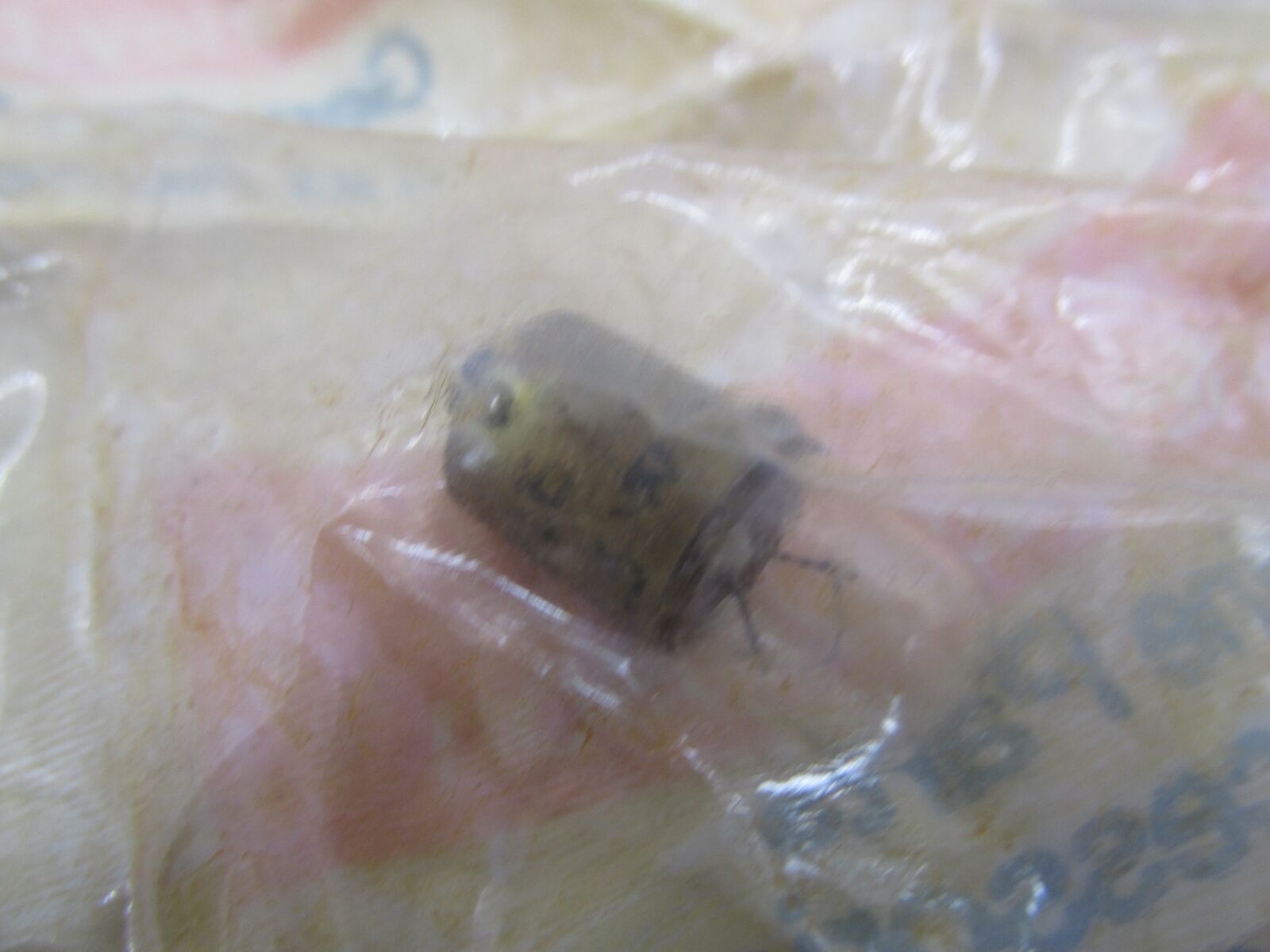 Harley-Davidson Aermacchi Genuine NOS Indicator Light Bulb 71092-73P