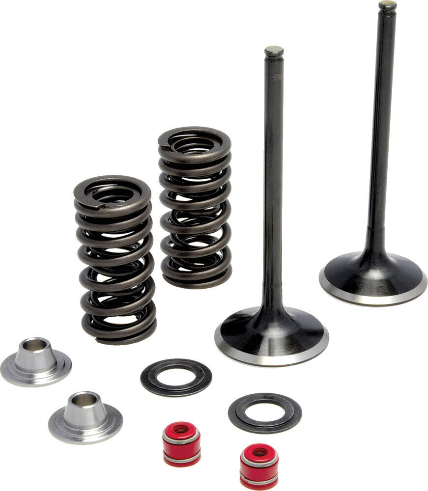 Kibblewhite Intake Only Stainless Conversion Valve/Spring Kit 30-31210