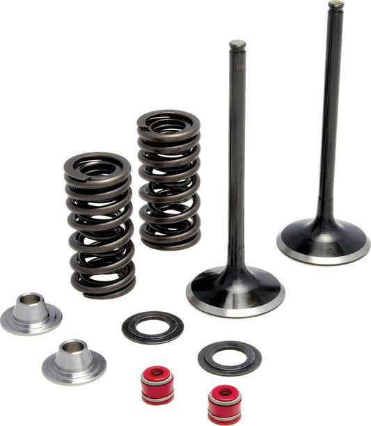 Kibblewhite Intake Only Stainless Conversion Valve/Spring Kit 30-31210