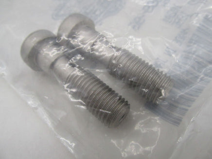 Lot of 2 Harley Davidson Genuine NOS Bottom Case Bolts Screws 45399-96