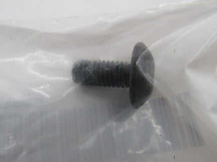 Harley Buell Genuine NOS T30 M6 1x14 Head Screw CA0023.1AM