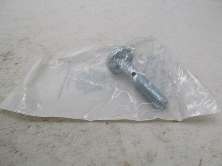 Harley Davidson Genuine NOS Breather Screw 29267-08