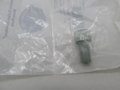 Harley Davidson Genuine NOS Hex Socket Head Cap Screw 2917