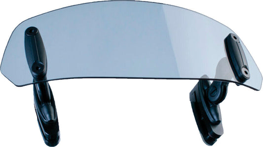 PUIG Clip-On Visor 6375H