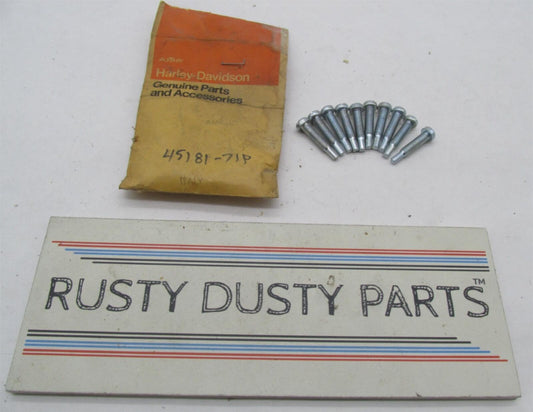 Lot of 10 Harley Davidson Genuine NOS Aermacchi Sprint Carb Stop Screw 45181-71P