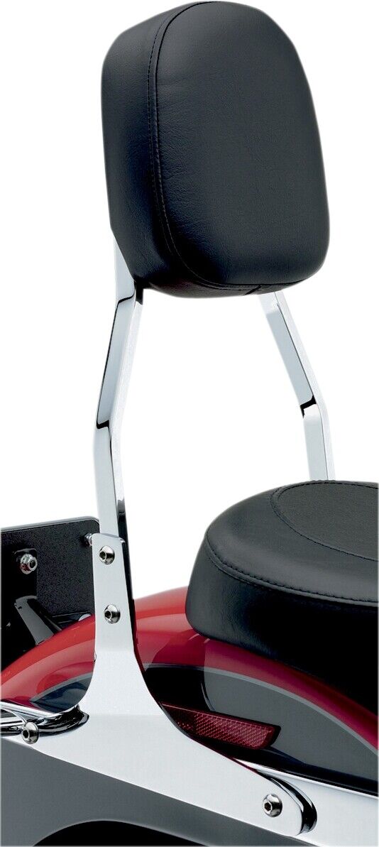 Cobra Sissy Bars 02-5105