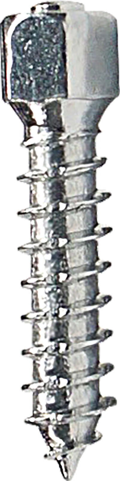 Woody's Attack 25 Twist Tire Screws 25mm/0.984in. (500pk.) WST-0625-500