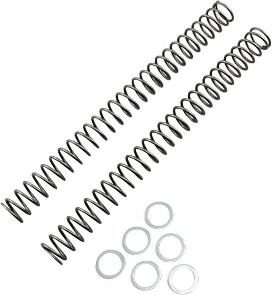 Race Tech Fork Springs .38 kg/mm FRSP 444738
