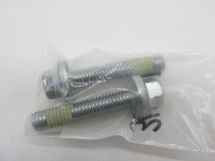 Lot of 2 Harley Davidson Genuine NOS Screws with Washers 3699D