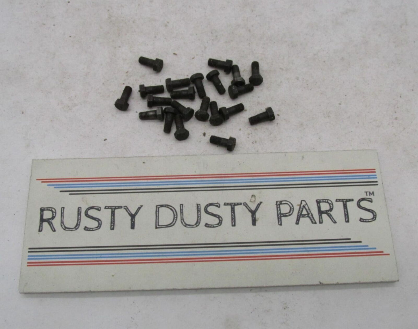 Lot of 21 Harley-Davidson Genuine NOS Aermacchi Clutch Shell Screws 37579-65P