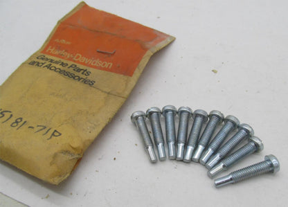Lot of 10 Harley Davidson Genuine NOS Aermacchi Sprint Carb Stop Screw 45181-71P