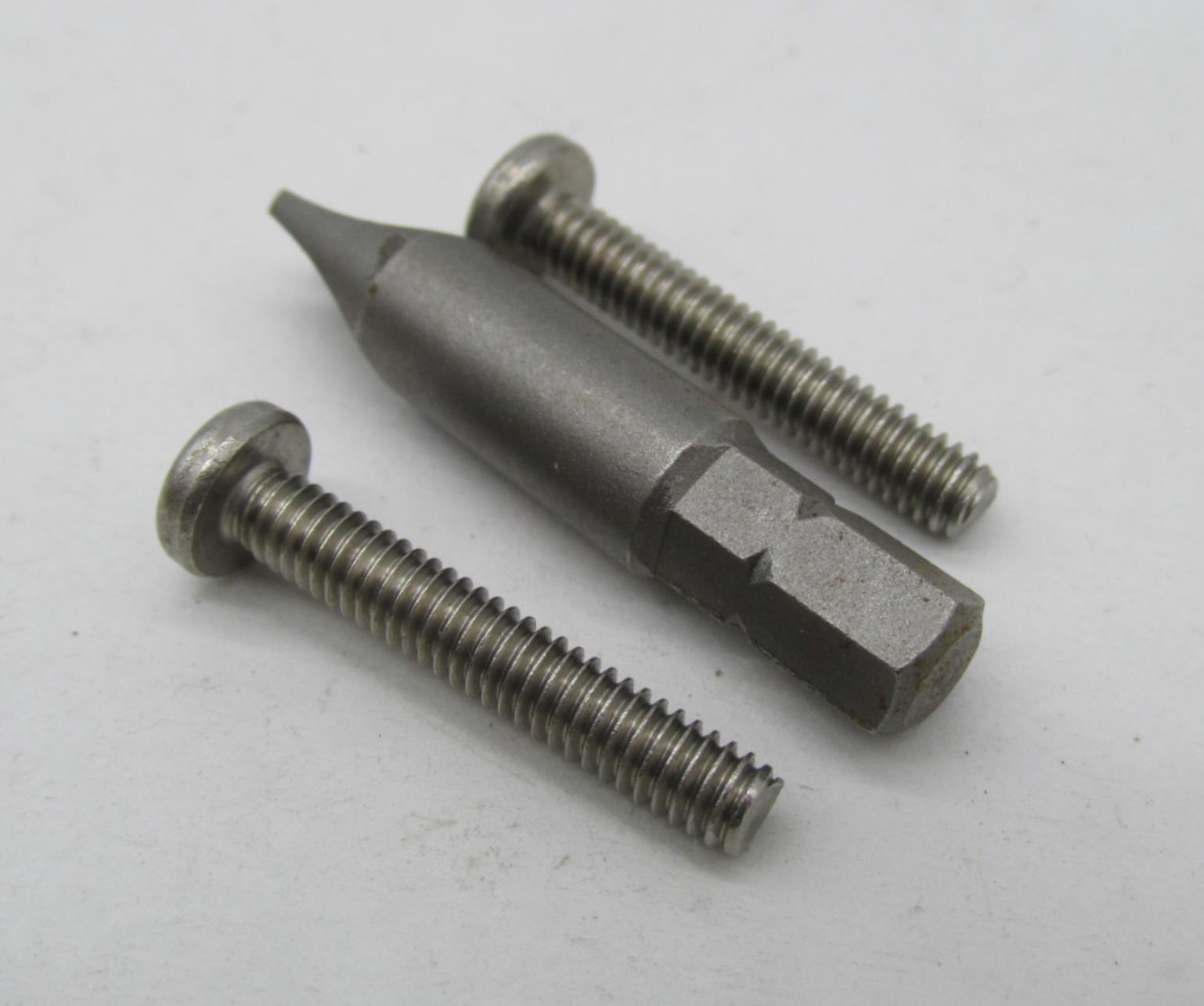 Harley Davidson Bright Ass Lights Stainless Security Screw Set BAL-SEC1