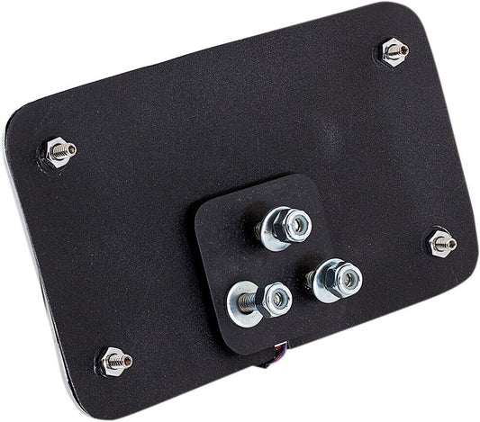 Cycle Visions Slick Signals License Plate Frame and Curved 3-Hole Mount CV4640