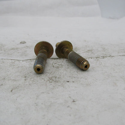 Lot of 2 Harley Davidson OEM Air Cleaner Breather Bolts 29465-08A