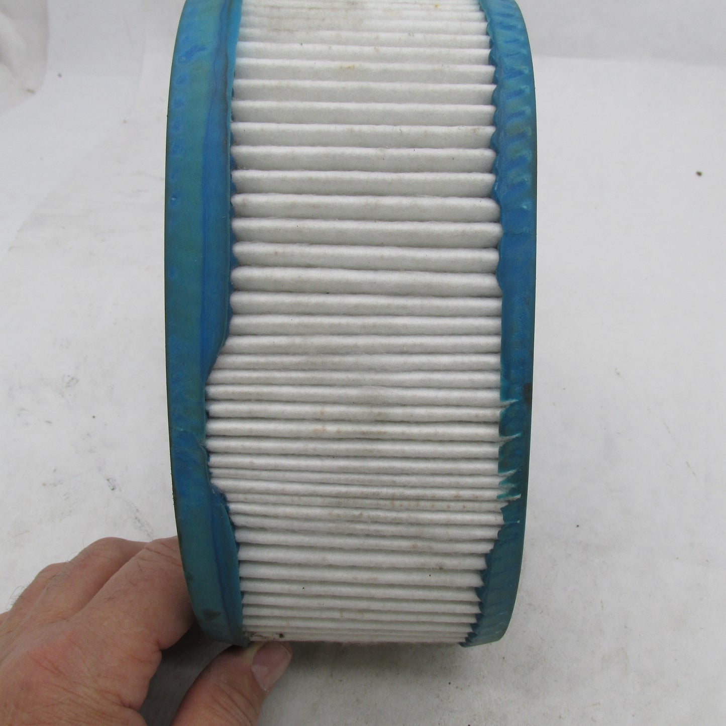 Harley Davidson Buell OEM Air Cleaner Filter Element XB XB9 XB12 P0213