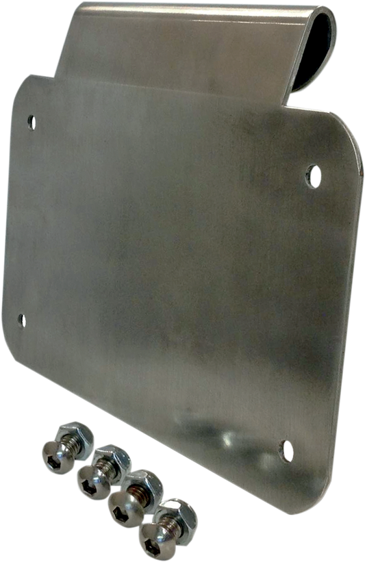 Alloy Art License Plate Mount Brushed Aluminum LD-2