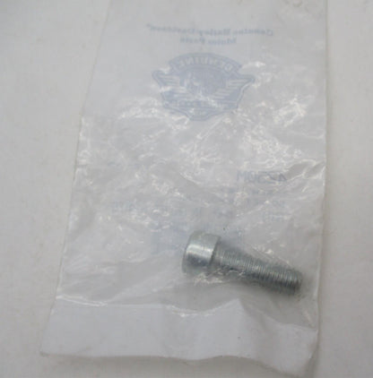 Harley Davidson Genuine OEM NOS Hex Socket Head Cap Screw 4250M
